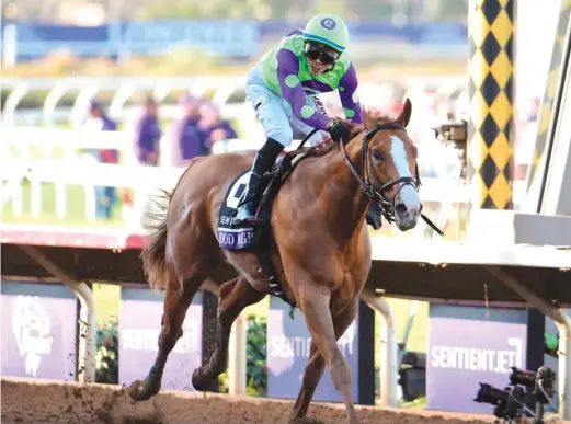  ?? AP ?? Jose Ortiz rides Good Magic to the win in the 2017 Breeders’ Cup Juvenile. The horse, trained by Chad Brown, has two wins, two seconds and one third in five starts.