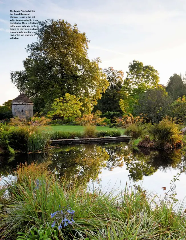  ??  ?? The Lower Pond adjoining the Round Garden at Llanover House in the Usk Valley is surrounded by trees and shrubs. Their reflection­s in the water only add to the drama as early autumn turns leaves to gold and the low rays of the sun emanate a soft glow.