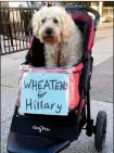  ??  ?? A Hillary Clinton supporter.