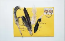  ??  ?? Residents of Australia are sending envelopes filled with feathers for a project that maps how birds are moving between disappeari­ng wetlands.