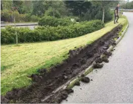  ?? LESERBILDE ?? Slik ser det ut etter at en av bussene har måttet kjøre på gresset for å passere den motgående bussen.