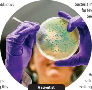  ?? ?? A scientist examines bacteria.