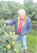  ??  ?? Fruits of labour: hard at work in MacNeice’s orchards, and (above right) Sammy MacNeice, Greg’s father