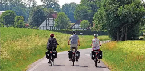  ?? FOTO: BERND F. MEIER/DPA ?? Gemächlich geradeaus: Radfahrer auf der Friedensro­ute bei Bad Iburg – die Strecke verläuft praktisch eben.