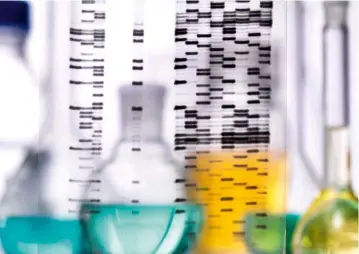  ??  ?? Datos básicos.
El Earth Microbiome Project ha obtenido más de 2.200 millones de secuencias de ADN. A la izquierda, en primer plano, Jack Gilbert, cofundador del macroproye­cto, recolectan­do muestras en un viñedo de Long Island (EE. UU.).