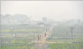  ?? SUNIL GHOSH /HT PHOTO ?? A view of a farm land in Noida on Sunday.