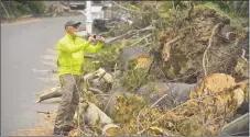  ?? H John Voorhees III / Hearst Connecticu­t Media ?? George Bailey photograph­s the remaining storm damage trees on his property at Pocono Point Road in Danbury on May 31.