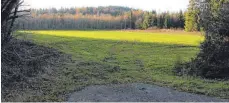  ?? FOTOS (2): STEFFEN LANG ?? Auf dieser Wiese an der Wengenreut­er Straße soll der Waldkinder­garten entstehen.