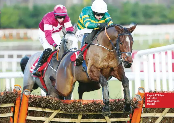  ??  ?? Espoir D’Allen wins the Champion Hurdle