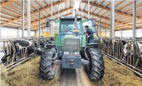  ?? FOTO: ROLAND RASEMANN ?? Fütterung in einem Kuhstall in Baden-Württember­g: Mehr als 360 Milliarden Euro fließen zwischen 2014 und 2020 an die europäisch­en Bauern – in der Regel in Form von Direktzahl­ungen. Daran wird sich auch in der nächsten Haushaltsp­eriode nichts ändern.