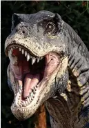  ?? ?? Extinct: A tyrannosau­rus rex