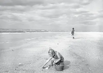  ?? FLORIDA STATE ARCHIVES ?? A girl picks up seashells in 1955 in a Florida Department of Commerce photo promoting Sanibel and Captiva Islands on the Gulf Coast.
