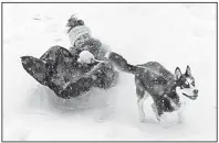  ?? AP/Winston-Salem Journal/WALT UNKS ?? Frannie Ohnimus, 14, repurposes a garbage bag as a downhill sled Wednesday in Winston-Salem, N.C., pulled by her Siberian husky Chief.