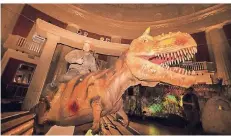  ?? FOTO: NEIGERT ?? Eine Dinoshow kommt nach Erkelenz, in der mutige besonders junge Besucher auf einem High-Tech-Tier reiten können.