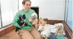  ?? Foto: Fabian Kluge ?? Tierpflege­rin Tamara Hofmann kümmert sich um die beschlagna­hmten Hunde. Sie werden nun wieder aufgepäppe­lt.