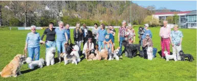  ?? FOTO: PM ?? Die Pudelfreun­de mit ihren Hunden beim „Ringtraini­ng“.