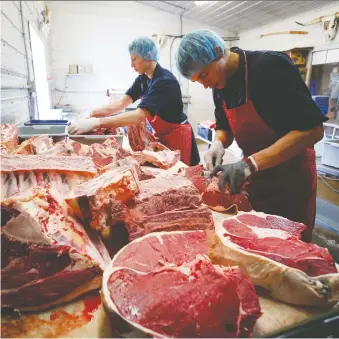  ?? TODD KOROL/REUTERS ?? Allan and Gerald vande Bruinhorst prepare a beef carcass in Picture Butte, Alta. They are working for their uncle, who is one of Alberta’s 113 mobile butchers. Government­s are under pressure to expand animal slaughter amid the supply chain blockage caused by COVID-19 outbreaks at meatpackin­g plants.