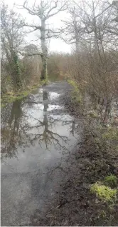  ??  ?? Flooded walkway by Garavogue in Doorly Park