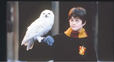  ??  ?? Daniel Radcliffe in “Harry Potter and the Sorcerer’s Stone,” being screened Sunday night in Oaks.