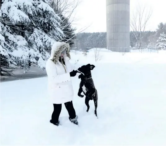  ?? ?? Gail McCourt et son chien Loki appréciero­nt grandement les nouveaux sentiers qui traversent le bois de Larocque à Alfred. - photo Gregg Chamberlai­n