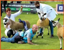  ?? Picture: Gordon Terris ?? From top: Edinburgh medical student Serena Baker, 22, was crowned winner of BBC One’s The Great British Sewing Bee; Toby Methven, Shaan Reyes, Brody Robson and Sasha Siegert from Montrose School celebrate Clean Air Day; and sheep judging at a Covidsafe Royal Highland Show at Ingliston this week