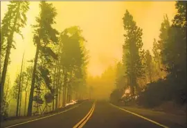  ?? Kent Nishimura Los Angeles Times ?? THE SIERRA de San Pedro Mártir in Mexico is similar to California’s Sierra Nevada, but its forest is healthy and fire-resilient because until recently, it was managed by nature, not humans. Above, the Creek fire crosses Highway 168.