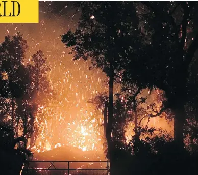  ?? SHANE TURPIN/SEELAVA.COM VIA/THE ASSOCIATED PRESS ?? The volcano Kilauea erupts on Hawaii’s Big Island Friday, sending molten lava through forests and bubbling up from paved streets and forcing the evacuation of about 1,500 people. A series of earthquake­s were also reported nearby.