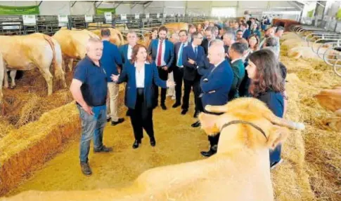  ?? // QUERCUS ?? Crespo y el resto de autoridade­s en uno de los pabellones de exposición animal de la Feria Agroganade­ra