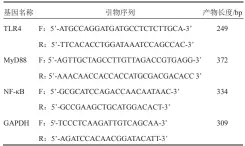  ??  ?? 表1 各基因引物序列