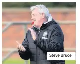  ??  ?? Steve Bruce