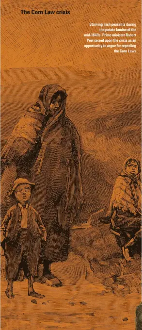  ??  ?? Starving Irish peasants during the potato famine of the mid-1840s. Prime minister Robert Peel seized upon the crisis as an opportunit­y to argue for repealing the Corn Laws