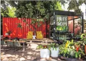  ??  ?? BOXED IN: The bold red shipping container stands out among the greenery of the garden at Freedom Cafe.