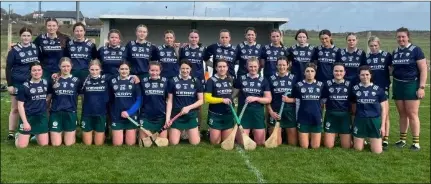  ?? ?? The Kerry camogie panel that played Limerick in Ballyheigu­e in the county’s first ever National League Division 1B game. Photo from Kerry Camogie Twitter