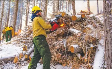  ?? Courtesy photo ?? Crews conduct a prescribed fire in the Yuba Project area of the North Yuba River watershed as part of a forest health and fire risk reduction project in January.