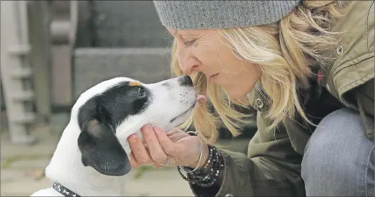  ?? THE ASSOCIATED PRESS ?? Kate Fredette, of Waltham, Mass., greets the family dog, Roscoe, at their home in Waltham, Mass, in March. The Fredette family found the dog through the online platform How I Met My Dog, that is designed to help humans pick the most compatible mutt...