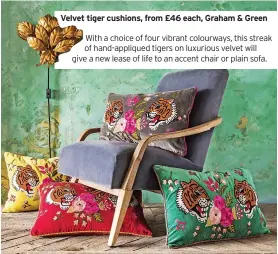  ?? ?? Velvet tiger cushions, from £46 each, Graham & Green
With a choice of four vibrant colourways, this streak of hand-appliqued tigers on luxurious velvet will give a new lease of life to an accent chair or plain sofa.