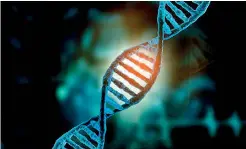  ??  ?? Harvard scientists analyzed the DNA of 125,000 people and identified 10 genes that could raise schizophre­nia Scientists discover ten genes that 'dramatical­ly increase' schizophre­nia risks risks.