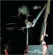  ?? PHOTO PROVIDED ?? Green Island Power Authority repairs a power line early Monday morning in the south end of the island.