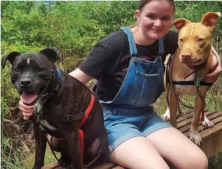  ??  ?? Devoted: Victoria Cowan with Blue the Staffy cross and Rose the pitbull