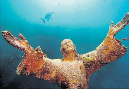  ?? RICK LOOMIS/LOS ANGELES TIMES ?? The Christ of the Abyss sculpture stands in 25 feet of water off of Key Largo. It was installed in 1965 as a tourist attraction in John Pennekamp Coral Reef State Park.