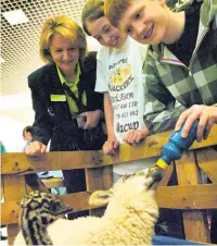  ??  ?? ●●Sam Aston feeding a lamb with Yvonne White from Rochdale Exchange and Helen Hope