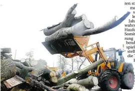  ?? BILD: HYSKY ?? Die Herbstürme „Xavier“und „Herwart“sorgten für schwere Schäden – und für viel Holz bei der Versteiger­ung.