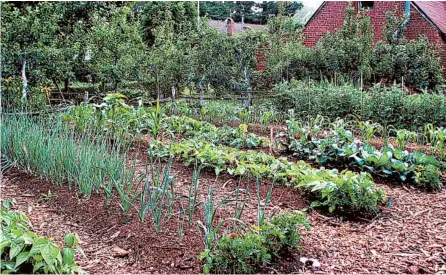  ?? LEE REICH ?? This vegetable garden is flourishin­g in New Paltz, New York. A surprising­ly large amount of produce can be harvested from even a small garden.