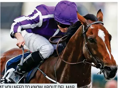  ?? GETTY IMAGES ?? Class: Ryan Moore riding Highland Reel