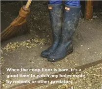  ??  ?? When the coop floor is bare, it’s a good time to patch any holes made by rodents or other predators.