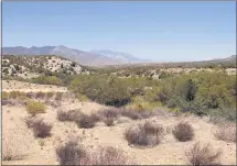  ?? PHOTO BY STEVE LECH ?? Omstott Creek near Pinyon Flats is named for early cattleman Marion Montgomery Onstott. Officials misspelled his last name.