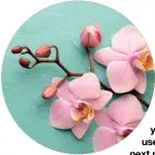  ??  ?? What’s an ingredient you’d like to use in your next perfume? Orchids. They’re interestin­g and there’s a huge variety.