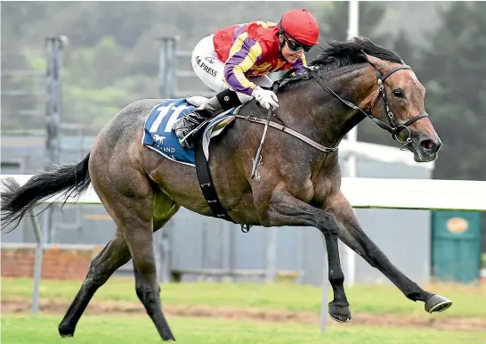  ?? RACE IMAGES ?? Smart filly Belle Du Nord is to be aimed at the 1000 Guineas at Riccarton after Saturday’s Soliloquy Stakes.