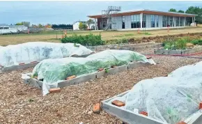  ??  ?? Fabric row covers can be used to protect vegetable crops during periods of cold temperatur­es.