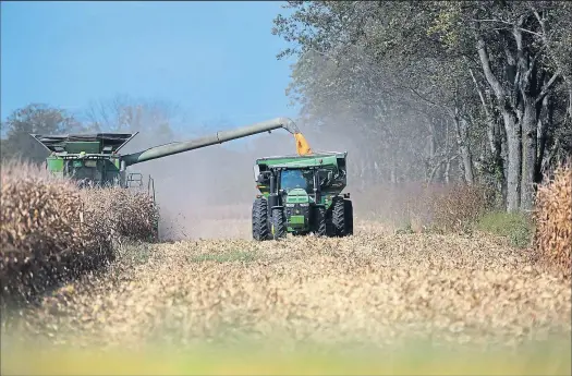  ?? CHRIS RUSSELL
DISPATCH ?? Dry conditions and blue skies made for ideal corn-harvesting conditions at Weber Farms, just north of Rt. 40 near Galloway. Monday’s beautiful fall weather can’t last, of course, and winter’s cold will inevitably make an entrance — at least for a while.